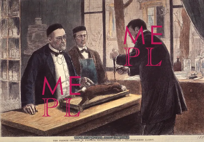 : Louis Pasteur (1822-1895), French chemist ? : Louis Pasteur (1822-1895), French chemist ?