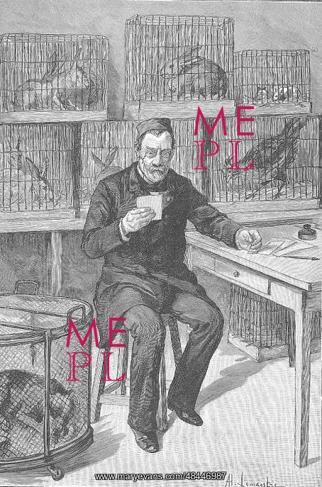 : Louis Pasteur (1822-1895) French chemist, in his : Louis Pasteur (1822-1895) French chemist, in his