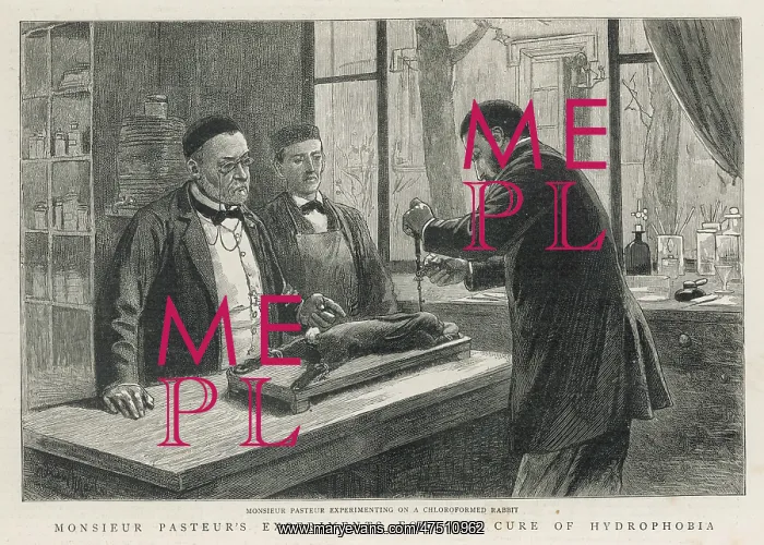 : LOUIS PASTEUR : LOUIS PASTEUR