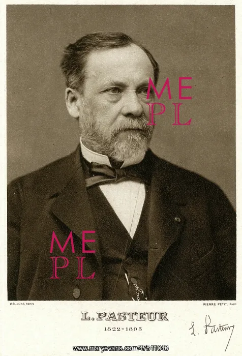 : LOUIS PASTEUR : LOUIS PASTEUR