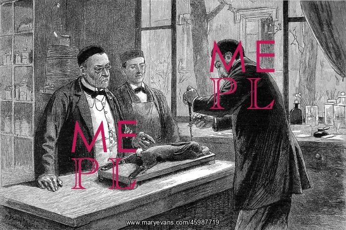 : Louis Pasteur experimenting on a chloroformed rabbit : Louis Pasteur experimenting on a chloroformed rabbit