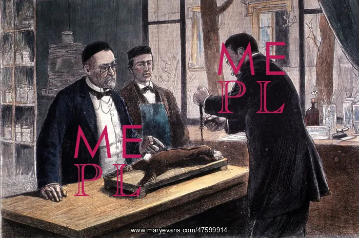 : Louis Pasteur, French Chemist and Bacteriologist : Louis Pasteur, French Chemist and Bacteriologist