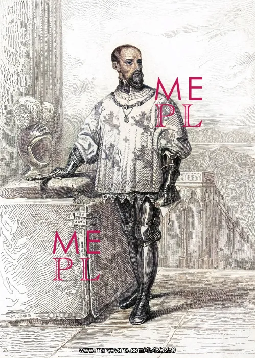 : LOUIS DE SAINT-POL : LOUIS DE SAINT-POL