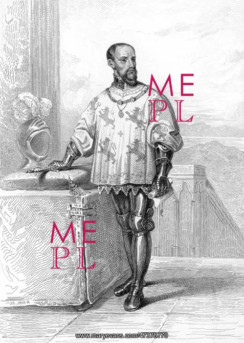 : LOUIS DE SAINT-POL : LOUIS DE SAINT-POL