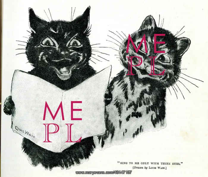  : Louis Wain cats - Sing to me only with thine eyes