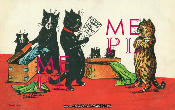 : Louis Wain Postcard - The Seaside Bill : Louis Wain Postcard - The Seaside Bill