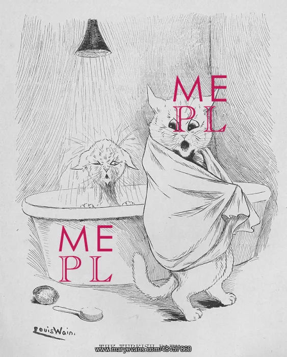  : Louis Wain - Turkish Bath