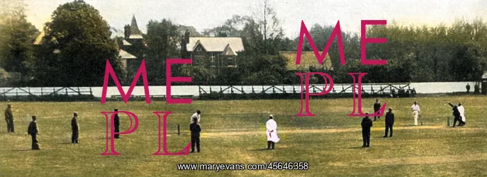 : Lounge Suit County Cricket : Lounge Suit County Cricket