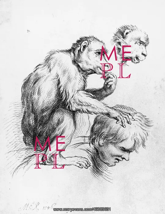  : Lousing monkey