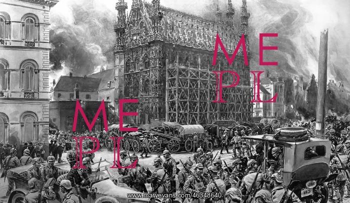 : Louvain's town hall saved : Louvain's town hall saved