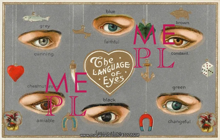 : LOVE / LANGUAGE OF EYES : LOVE / LANGUAGE OF EYES