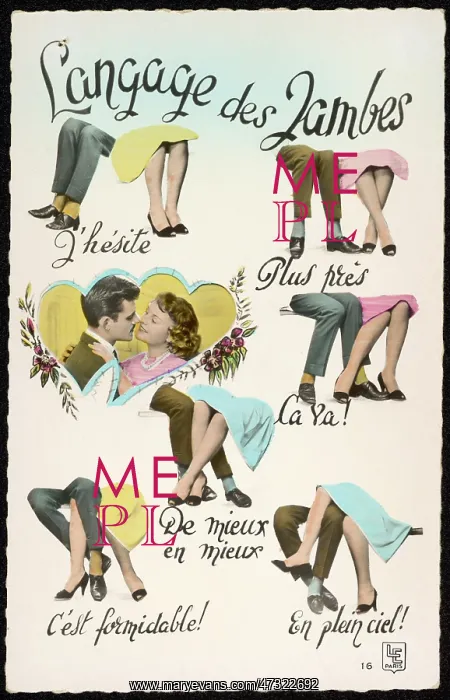 : LOVE / LANGUAGE OF LEGS : LOVE / LANGUAGE OF LEGS