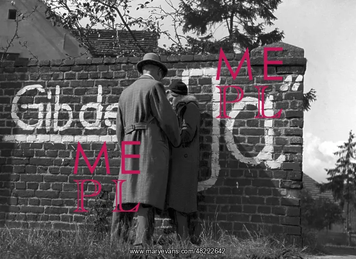 : Love during the Reichstag election in 1938 : Love during the Reichstag election in 1938