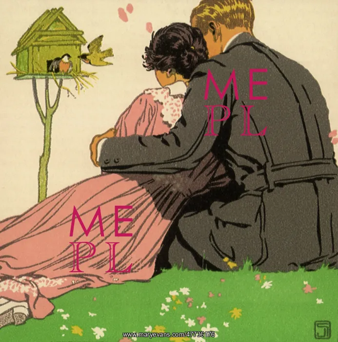 : Lovebirds : Lovebirds