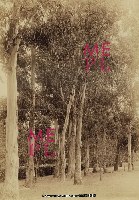  : Lovedale Institution
