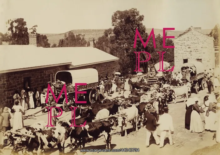 : Lovedale Institution : Lovedale Institution