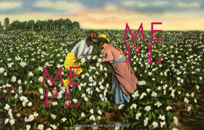: Lovers Picking Cotton : Lovers Picking Cotton