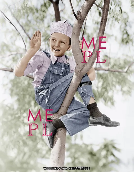 : Low angle view of a boy sitting in a tree : Low angle view of a boy sitting in a tree