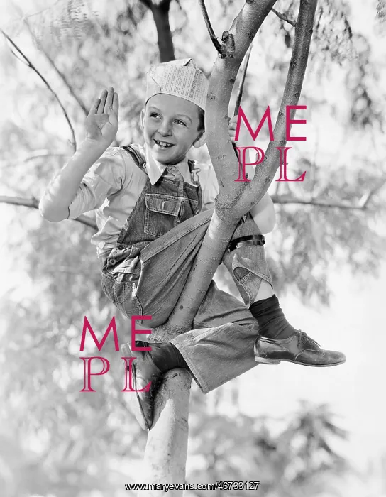 : Low angle view of a boy sitting on a tree : Low angle view of a boy sitting on a tree