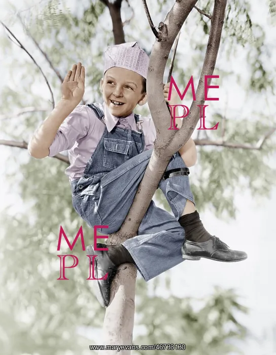 : Low angle view of a boy sitting on a tree : Low angle view of a boy sitting on a tree