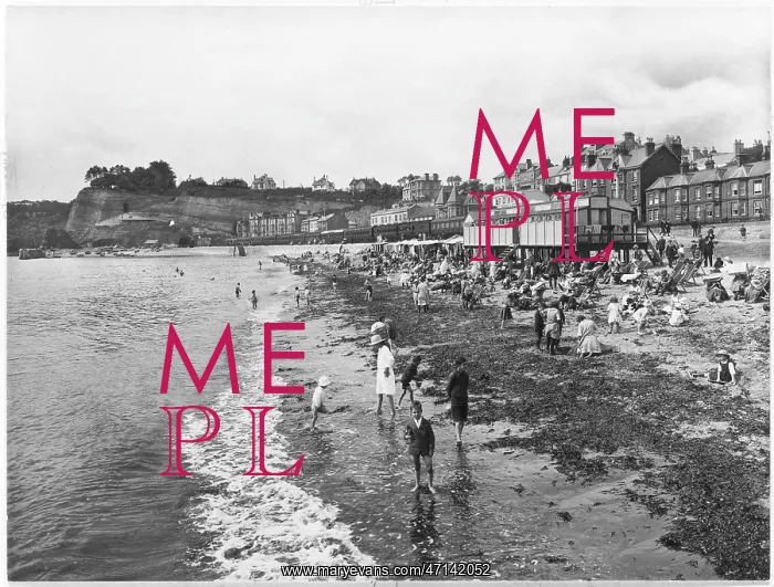 : Low tide in Dawlish, Devon : Low tide in Dawlish, Devon