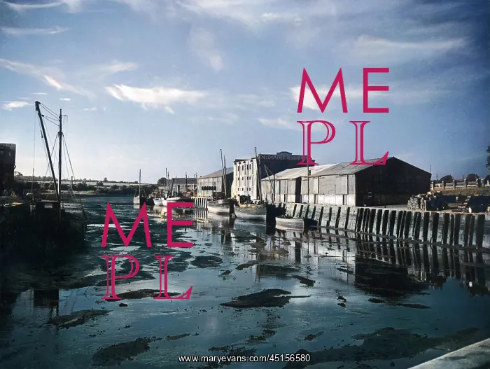 : LOW TIDE AT NEWPORT : LOW TIDE AT NEWPORT