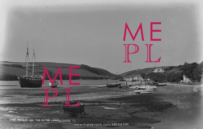 : Low Tide at Newquay : Low Tide at Newquay