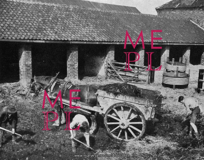: Lowdham Grange Borstal Institution - Farm Work : Lowdham Grange Borstal Institution - Farm Work