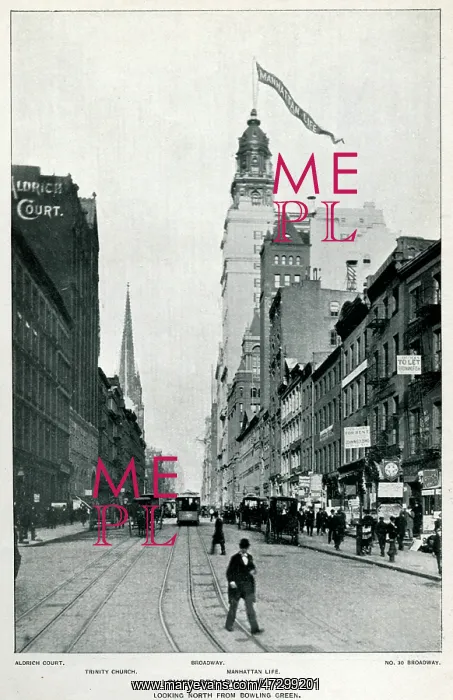 : Lower Broadway, New York 1895 : Lower Broadway, New York 1895