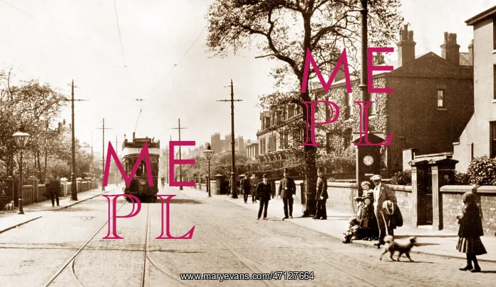  : Lower Broughton Broughton Lane early 1900s