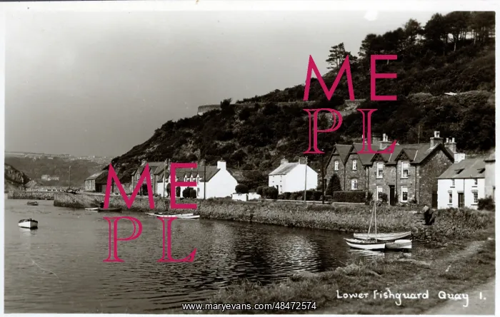 : Lower Quay, Fishguard, Cardiganshire : Lower Quay, Fishguard, Cardiganshire