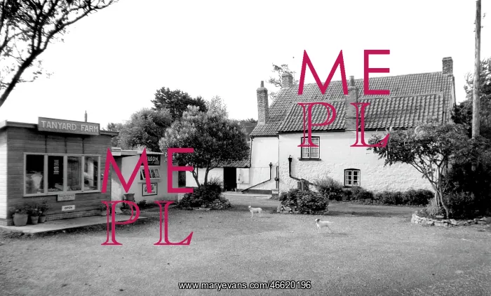  : Lower Weare, Tanyard Farm c1960