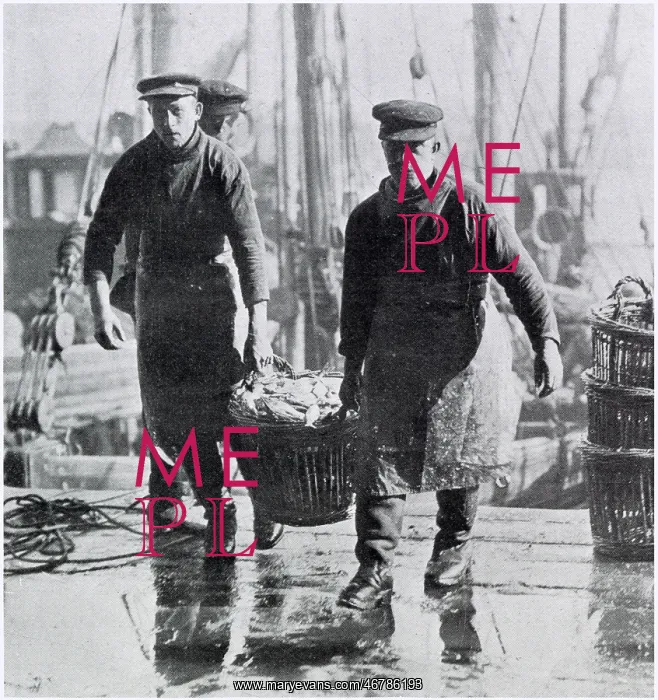 : Lowestoft - Herring Harvest 1906 : Lowestoft - Herring Harvest 1906