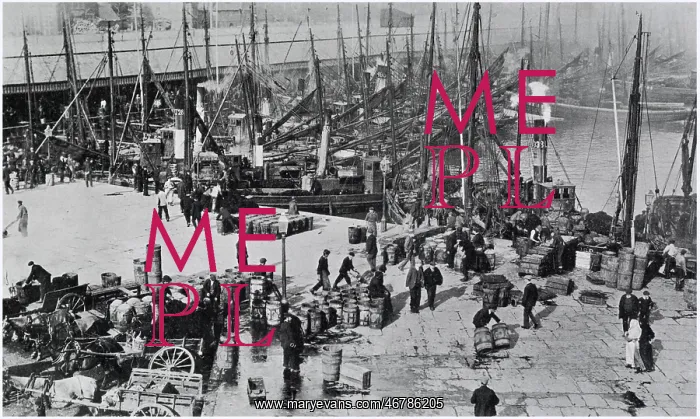 : Lowestoft - Herring Harvest 1906 : Lowestoft - Herring Harvest 1906