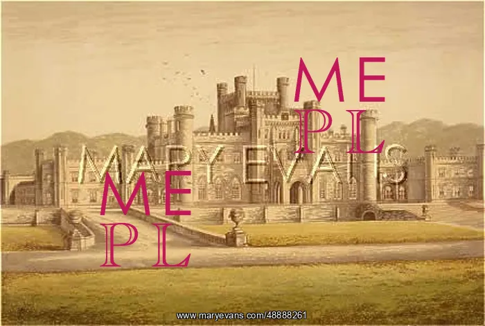  : LOWTHER CASTLE / 1879