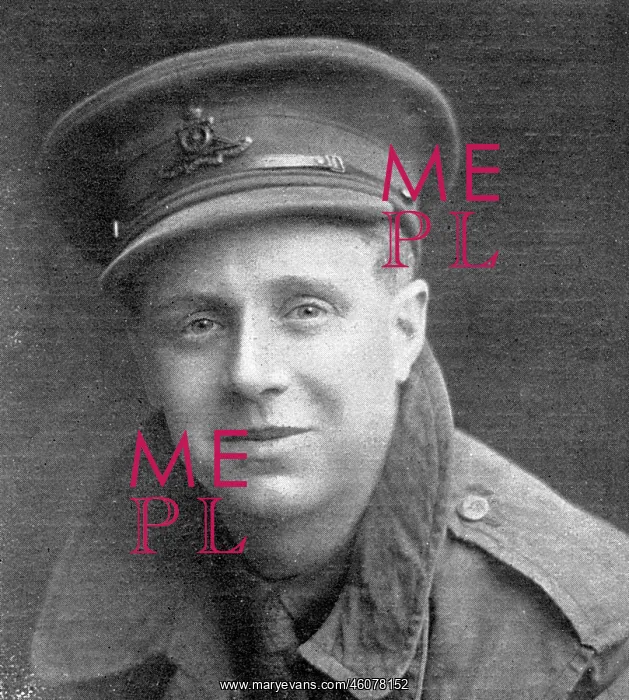: Lt. George William Taylor R.F.A : Lt. George William Taylor R.F.A