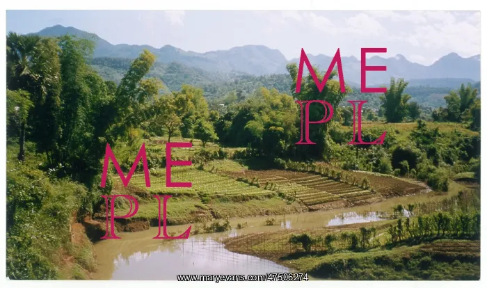 : LUANG PRABANG / LAOS / ASIA : LUANG PRABANG / LAOS / ASIA