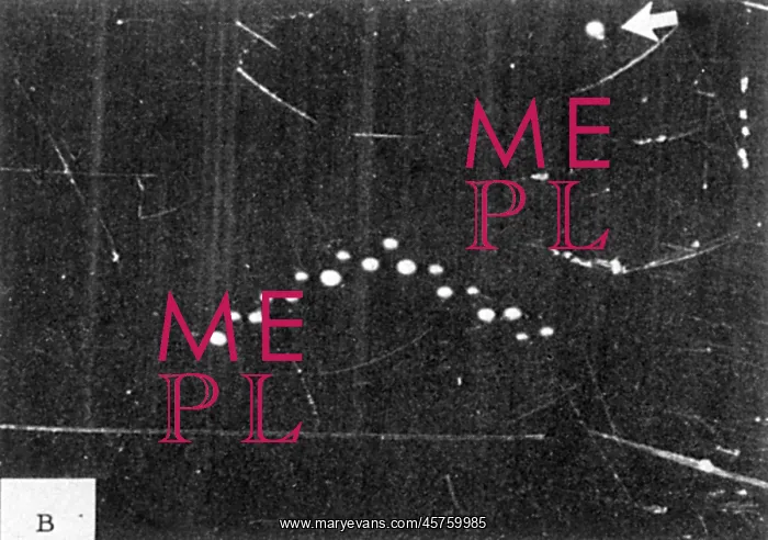 : Lubbuck Lights UFOs : Lubbuck Lights UFOs