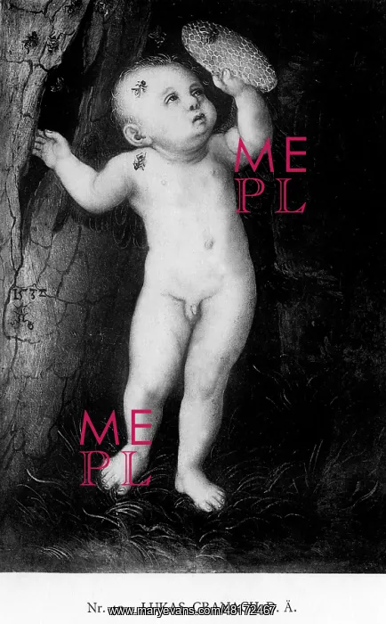 : Lucas Cranach the elder : Lucas Cranach the elder