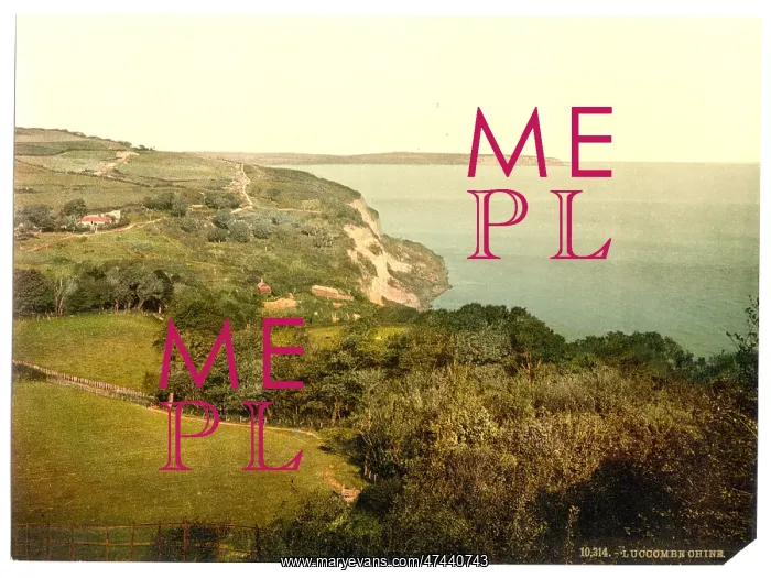 : Luccombe Chine, Isle of Wight, England : Luccombe Chine, Isle of Wight, England