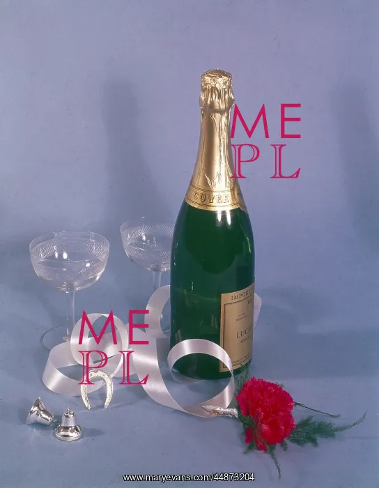 : LUCKY BUBBLY : LUCKY BUBBLY