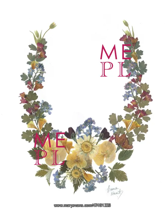 : Lucky Horseshoe ? Violets, forget-me-not etc : Lucky Horseshoe ? Violets, forget-me-not etc