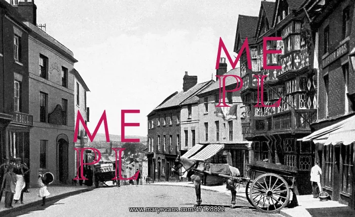  : Ludlow The Bull Ring early 1900s