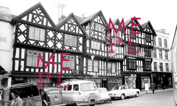  : Ludlow, the Old Bull Ring c1965