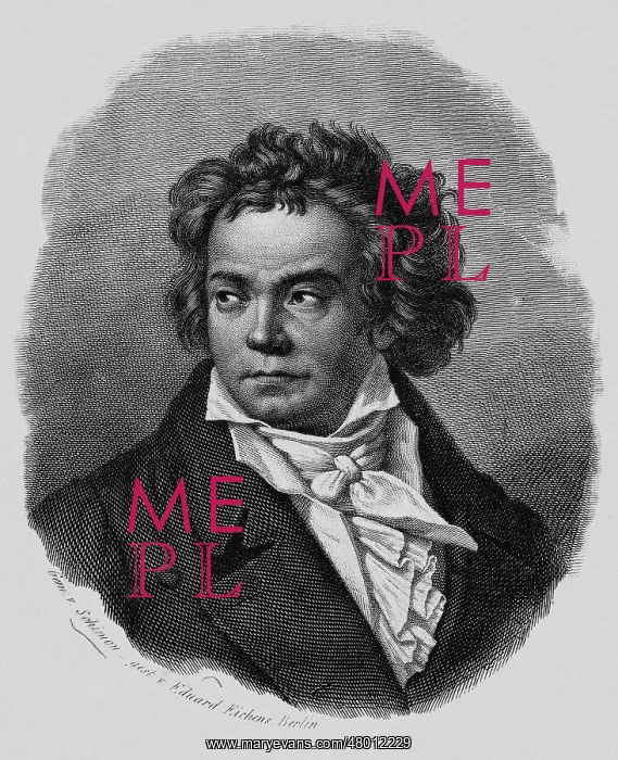 : Ludwig van Beethoven : Ludwig van Beethoven