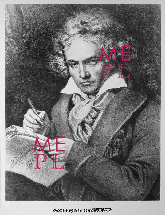 : Ludwig van Beethoven, engraving : Ludwig van Beethoven, engraving