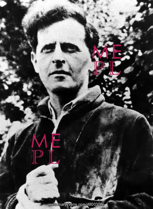 : Ludwig Wittgenstein : Ludwig Wittgenstein