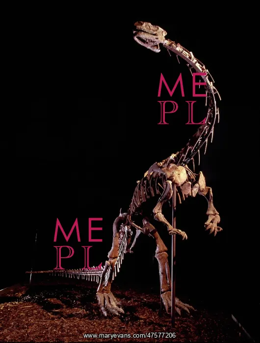 : Lufengosaurus : Lufengosaurus