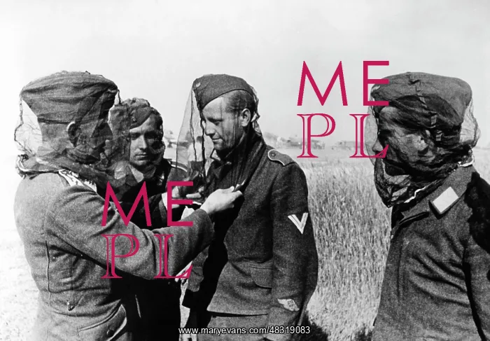: Luftwaffe soldiers - Eastern Front, 1941 : Luftwaffe soldiers - Eastern Front, 1941