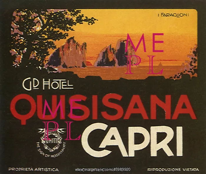  : Luggage Label